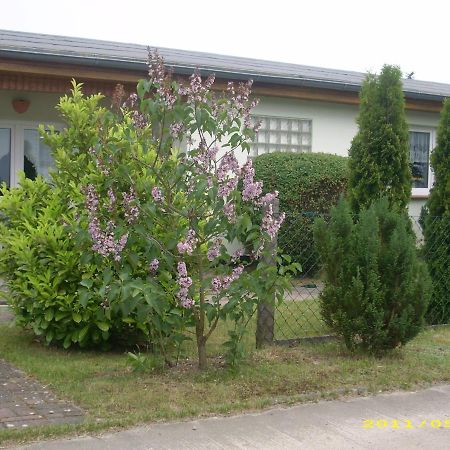 Ferienhaus Am Neuklostersee Exterior foto
